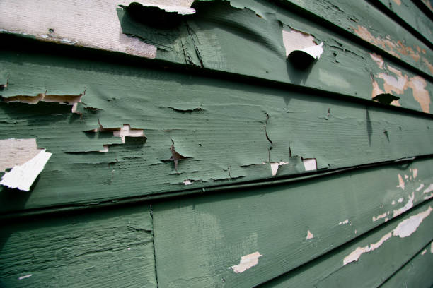 Best Siding Removal and Disposal  in Nassau Bay, TX